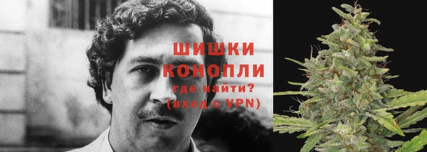 ECSTASY Липки