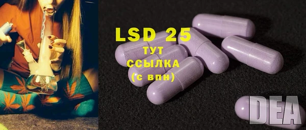 ECSTASY Липки