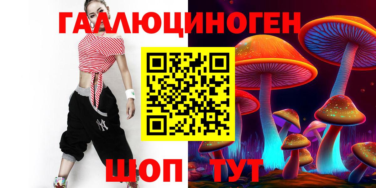 Псилоцибиновые грибы Psilocybine cubensis  закладки  Череповец 