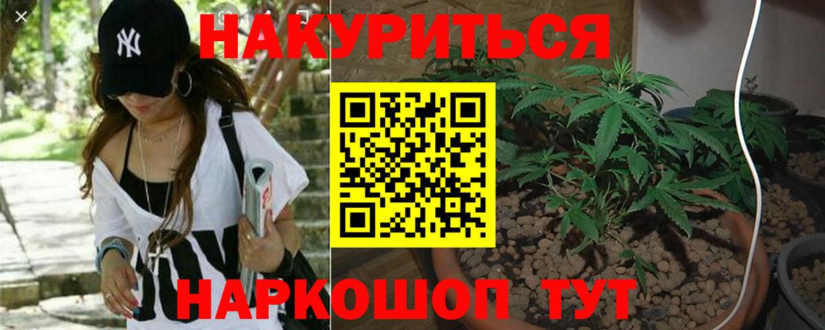 Бошки Шишки SATIVA & INDICA  МАРИХУАНА семена  Череповец  Каннабис план  Бошки марихуана индика 